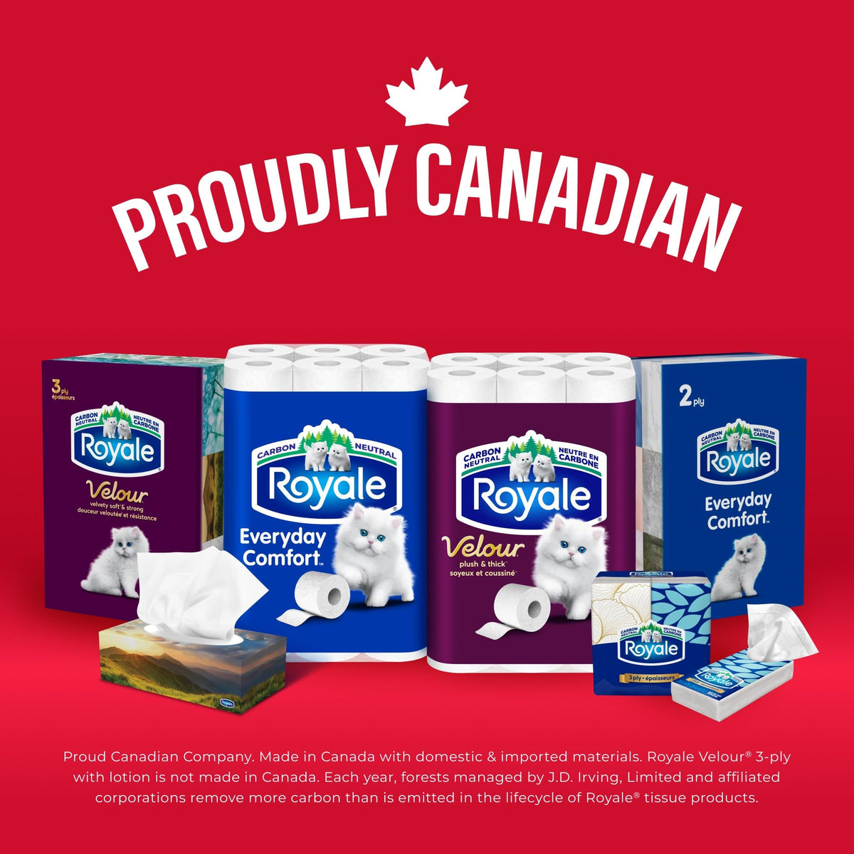 Royale Everyday Comfort 2 Ply Facial Tissue, 24 Tissue Boxes, 100 Tissues per Box 🍁 All In One Marketplace Canada
