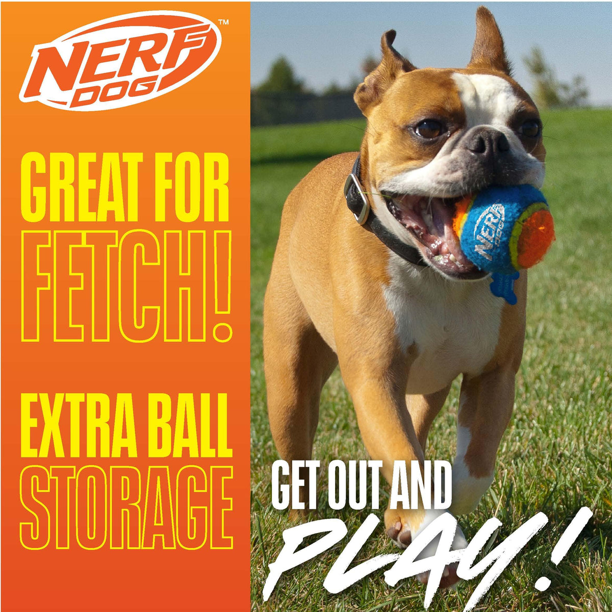Nerf Dog Tennis Ball Blaster Dog Toy with 1 Ball, 16 in, Blue/Orange 🍁 All In One Marketplace Canada