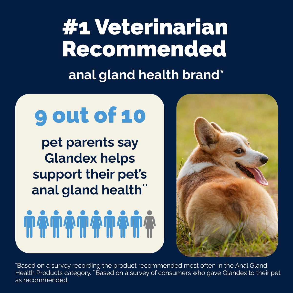 Glandex Anal Gland Soft Chew Treats with Pumpkin for Dogs Chews with Digestive Enzymes, Probiotics Fiber Supplement for Dogs – Vet Recommended - Boot The Scoot (Peanut Butter, 120ct Chews) 🍁 All In One Marketplace Canada