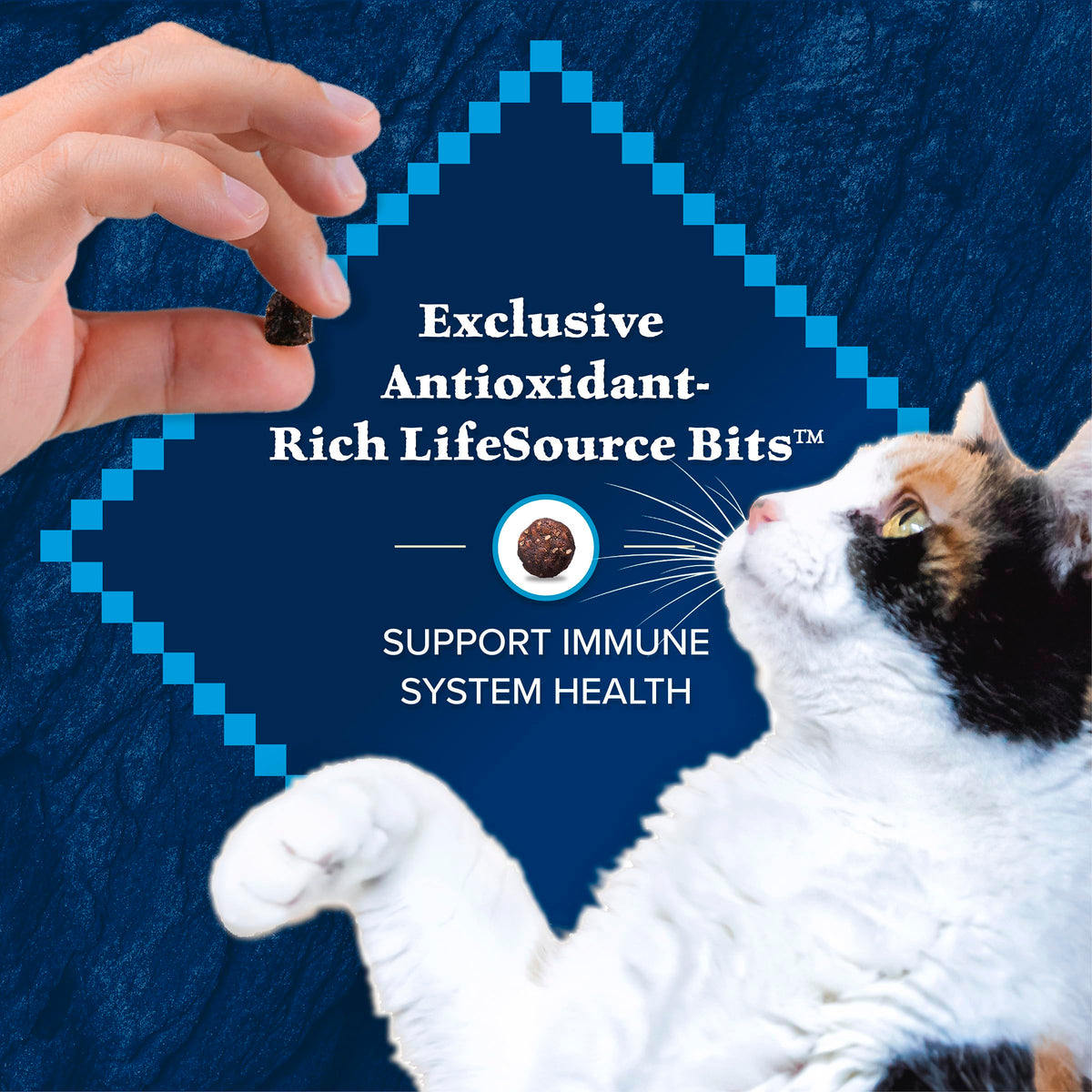 Blue Buffalo Wilderness with Chicken Natural High-Protein Grain-Free Dry Food for Adult Cats, Real Chicken First, Antioxidant-Rich LifeSource Bits Support Immunity, Promotes Strong Muscles, 6 lbs. 🍁 All In One Marketplace Canada