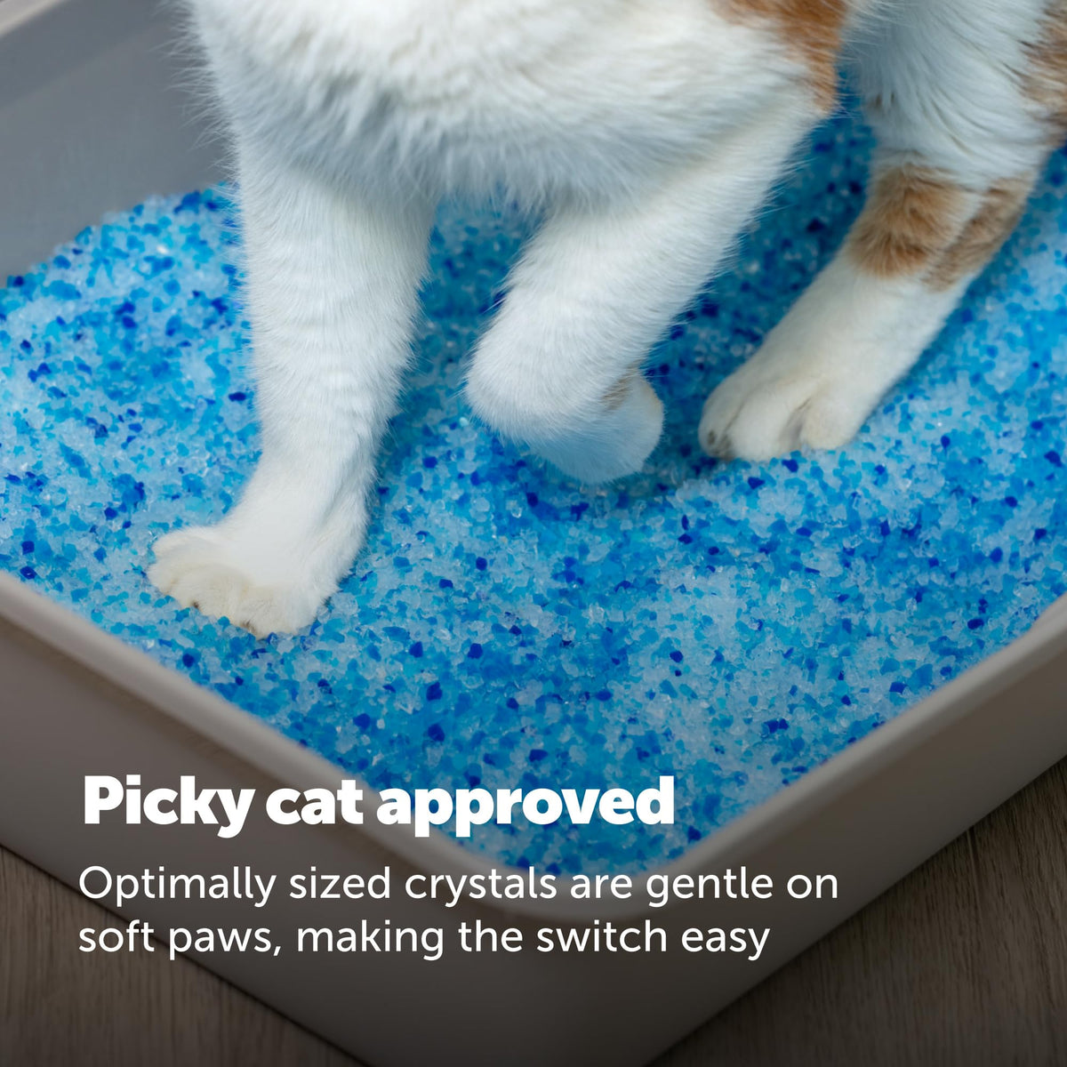 ScoopFree Premium Fresh Scent Crystal Litter, Superior Odor Control, Absorbs 5X Faster, Low Tracking for Less Mess, Lasts up to 2 Months, Lightly Scented (8 lb Bag) 🍁 All In One Marketplace Canada