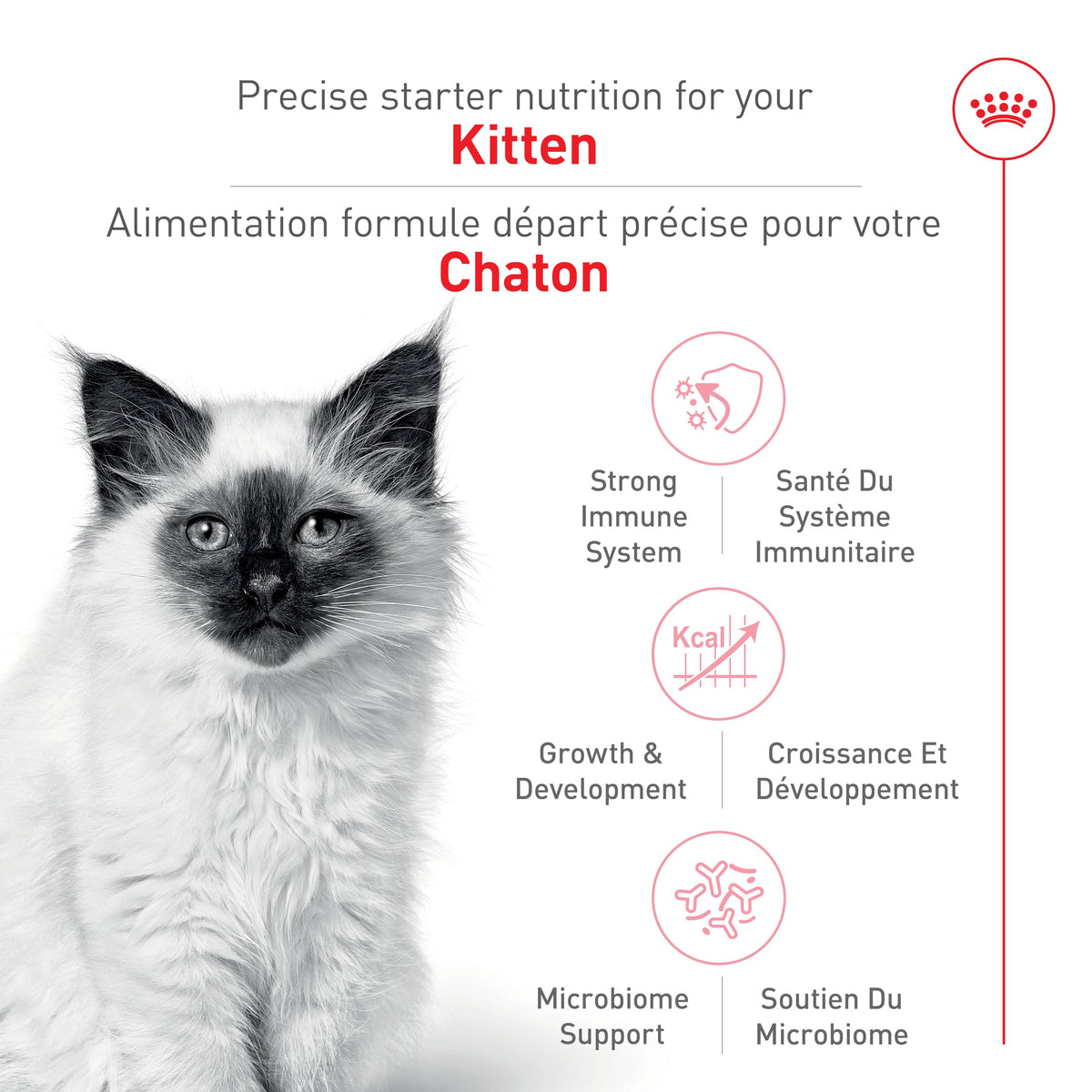 Royal Canin Feline Health Nutrition Dry Kitten Food, Supports Digestive Health, Immune Support and Healthy Energy, 3 lb Bag 🍁 All In One Marketplace Canada