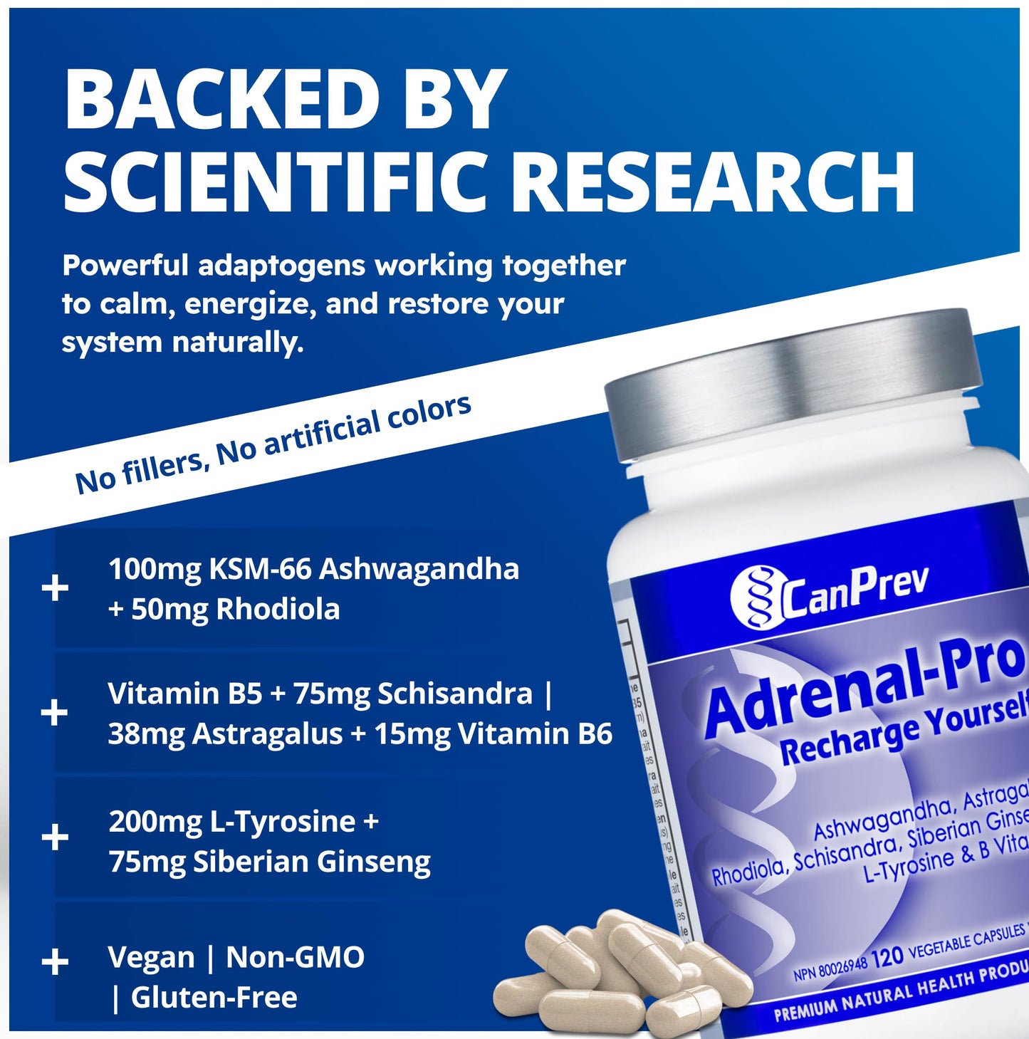 CanPrev Adrenal-Pro Recharge Yourself, 120 Vegan V-Caps with Siberian Ginseng, 30-Day Supply with Ashwagandha, Astragalus, L-Tyrosine, B5 & B6 - Supports Energy Levels, Physical and Mental Vitality 🍁 All In One Marketplace Canada