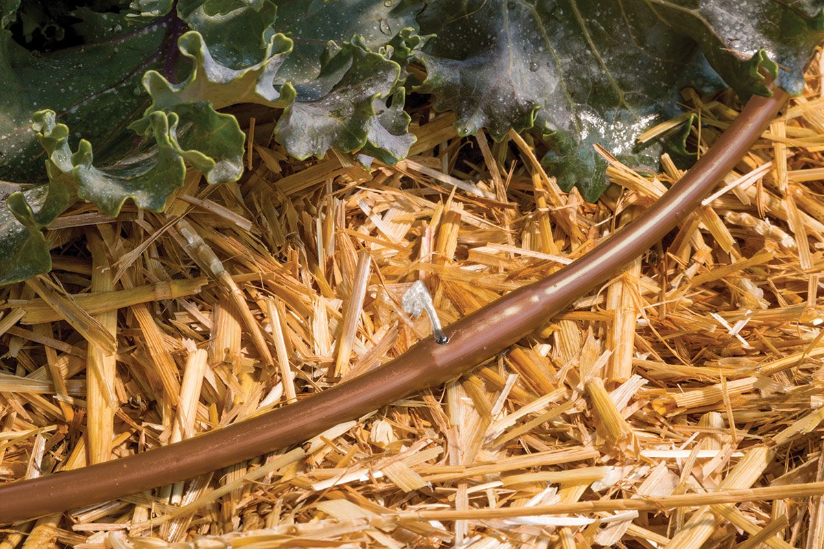 Rain Bird ET25-50S2 Drip Irrigation Pressure Compensating 1/4" Emitter Tubing, 12" Emitter Spacing, 50' Roll, Brown 🍁 All In One Marketplace Canada