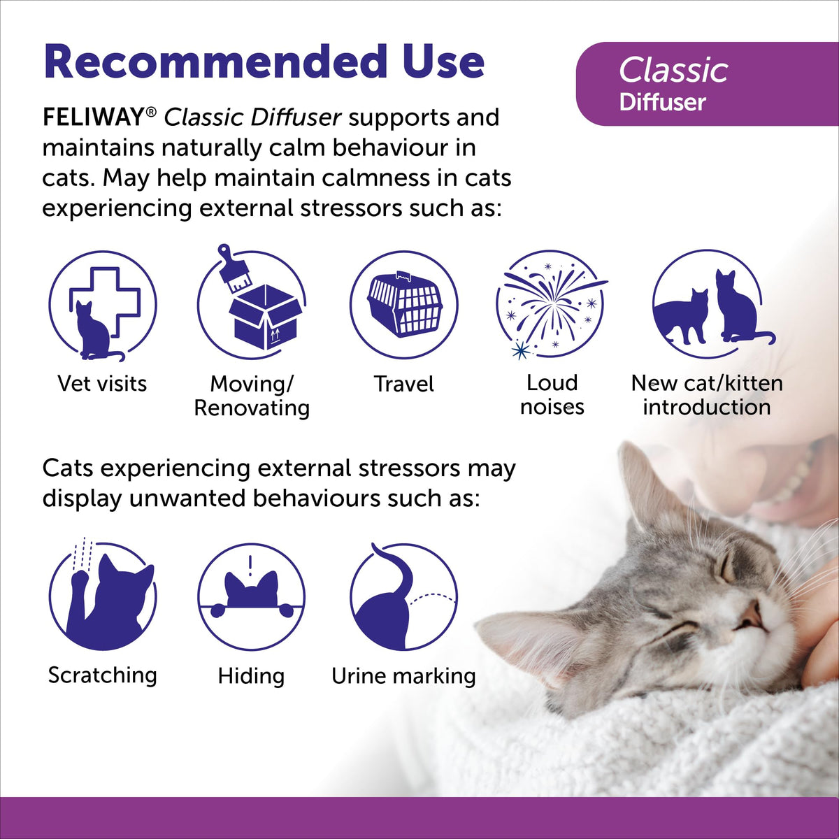 FELIWAY Classic Diffuser Refill Value Pack, Promotes Calmness in Cats & Kittens, VHP Registered NN.P4B8, includes 3 Refills, Lasts 90 Days, Cat Calming Pheromones, 3 x 48ml 🍁 All In One Marketplace Canada
