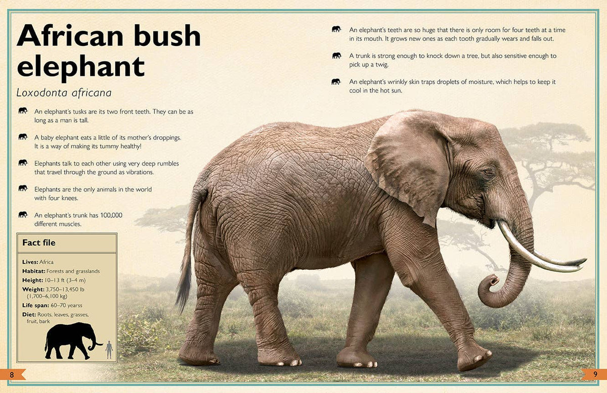 Insight Editions - The Magnificent Book of Animals - Ages 6+