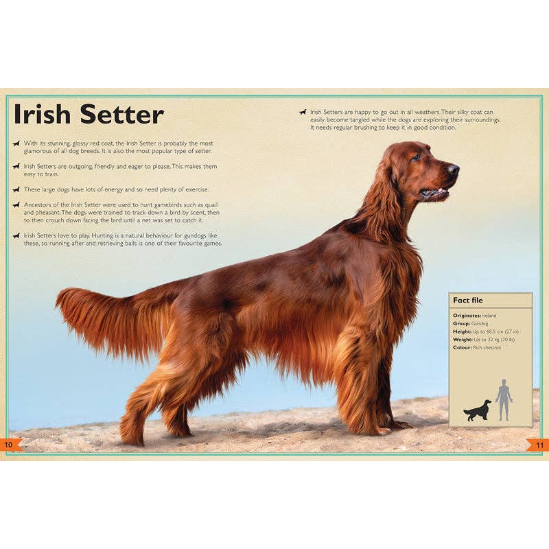 Insight Editions - The Magnificent Book of Dogs: Super-Sized - Ages 6+