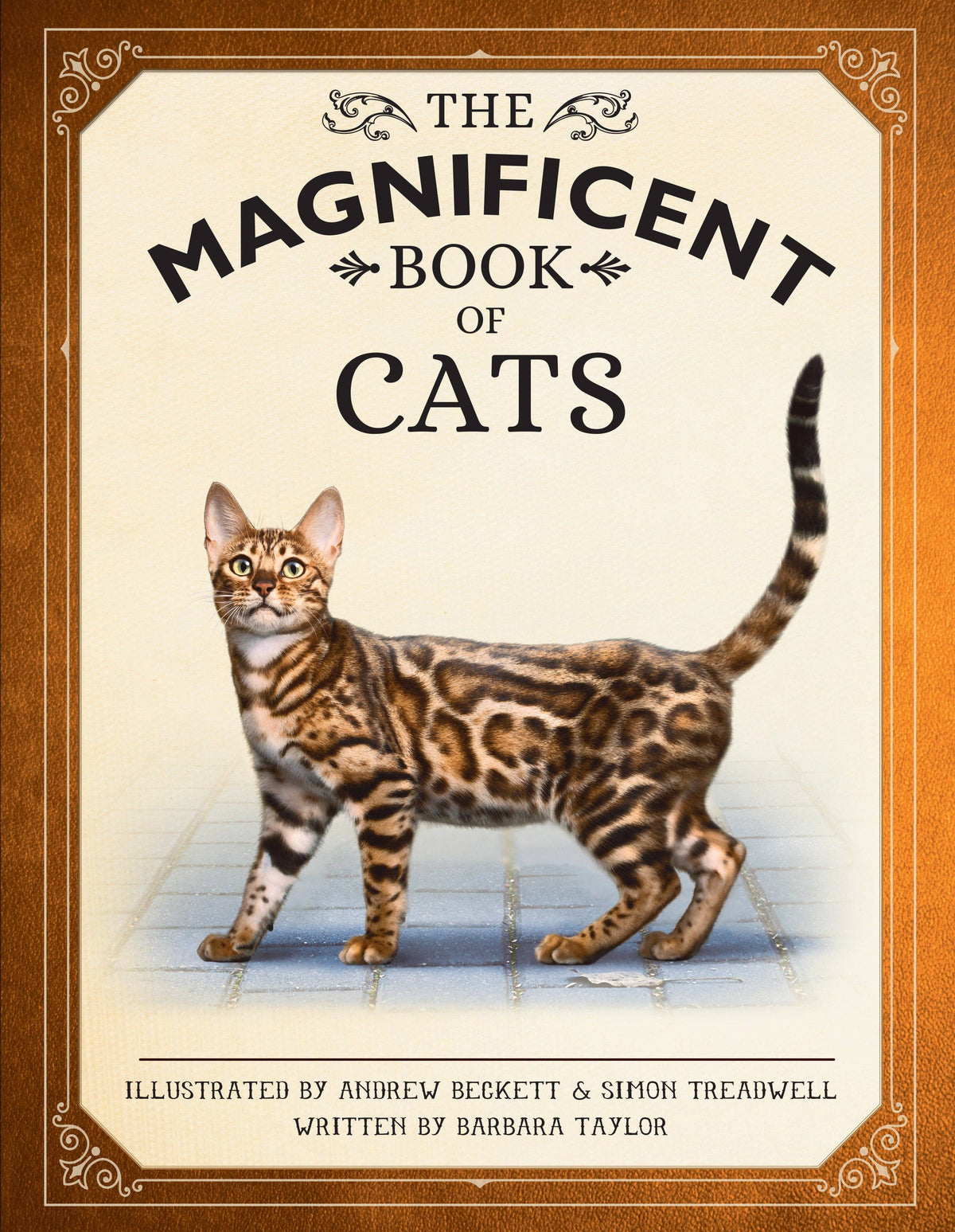 Insight Editions - The Magnificent Book of Cats - Ages 6+