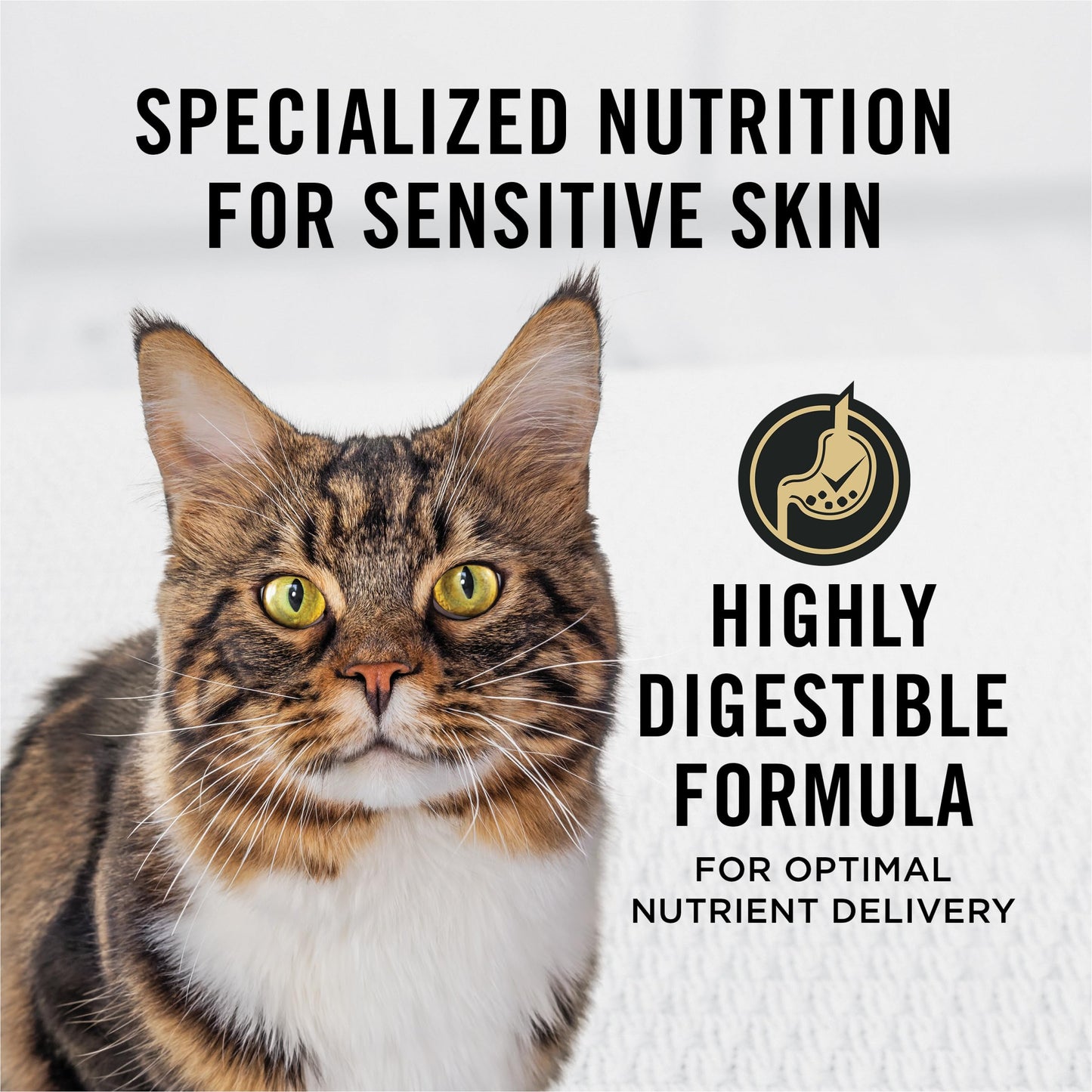 Purina Pro Plan Sensitive Skin & Stomach Dry Cat Food, Lamb & Rice - 3.18 kg Bag 🍁 All In One Marketplace Canada