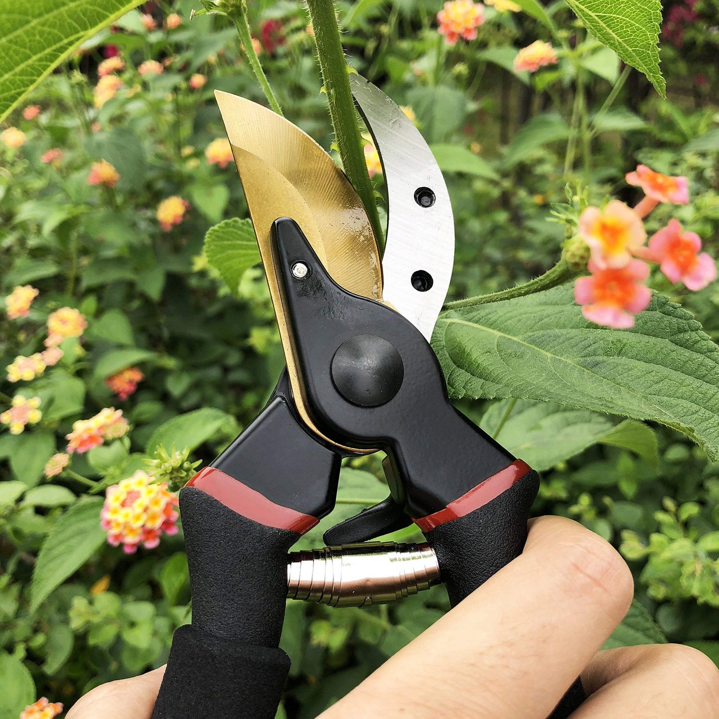 gonicc 8" Professional Premium Titanium Bypass Pruning Shears (GPPS-1003), Hand Pruners, Garden Clippers. 🍁 All In One Marketplace Canada