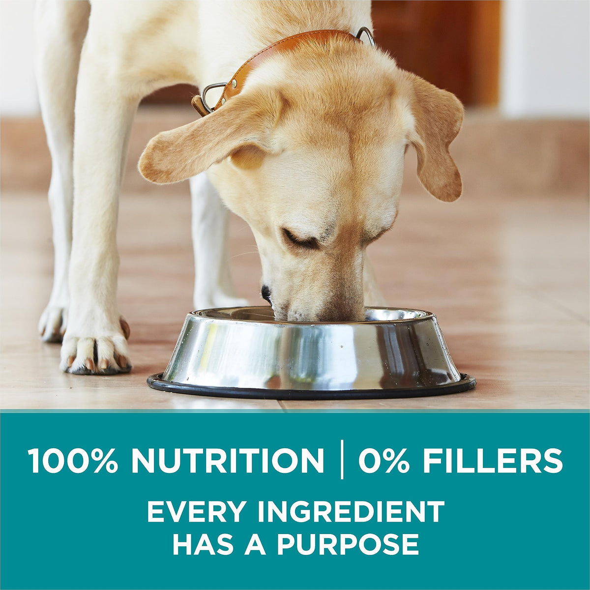 Purina ONE Dry Dog Food, +Plus Large Breed with Chicken - 7 kg Bag (1 Pack) 🍁 All In One Marketplace Canada