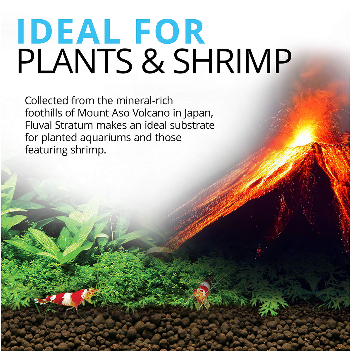 Fluval 12697 Plant and Shrimp Stratum, 8.8-Pound, Black 🍁 All In One Marketplace Canada