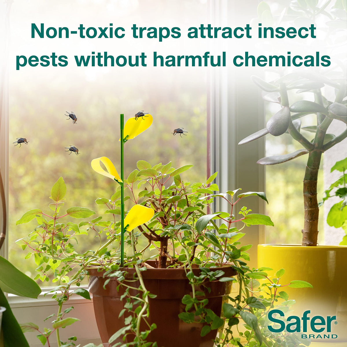 Safer's 07-2122CAN Houseplant Sticky Stake Insect Traps for Indoor Plants - Controls Fungus Gnats, Whiteflies, Midges, Thrips, Fruit Flies, and Black Flies - 12 Traps 🍁 All In One Marketplace Canada