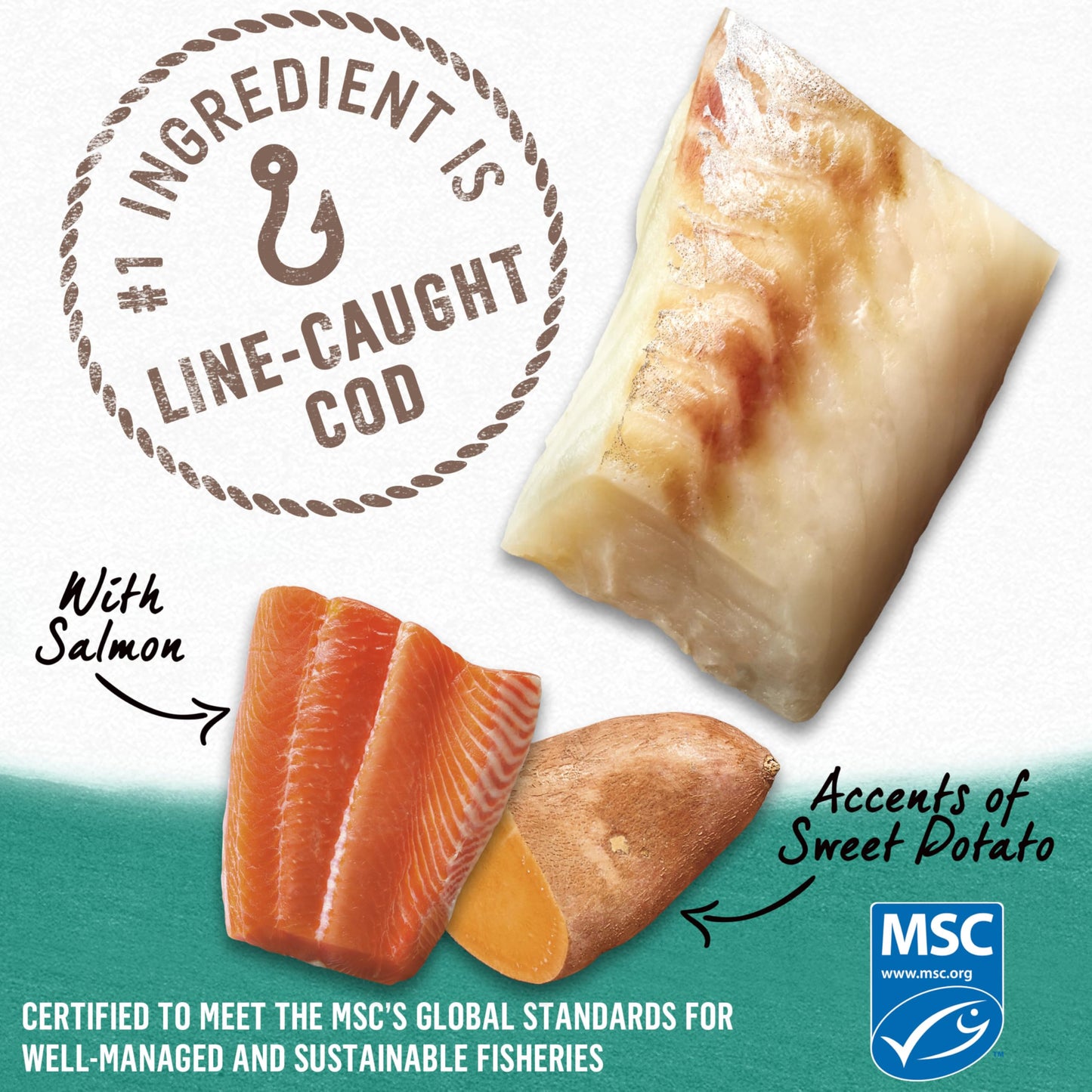 Beyond Natural Wet Dog Food, Alaskan Cod, Salmon & Sweet Potato Ground Entree - 368 g Can (12 Pack) 🍁 All In One Marketplace Canada