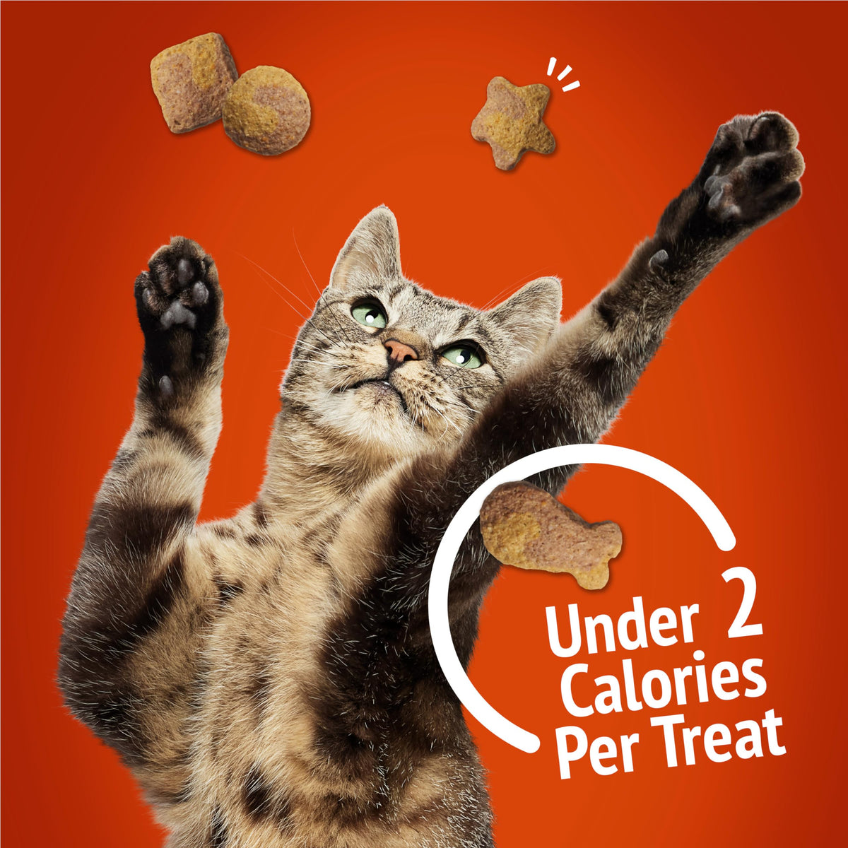 Friskies Party Mix Cat Treats, Gravy-Licious Crunch Chicken 510g (3 Pack) 🍁 All In One Marketplace Canada