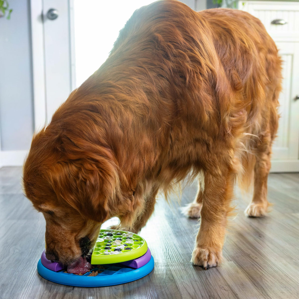 Outward Hound Nina Ottosson Lickin’ Layers 3-in-1 Dog Toy Treat Puzzle, 10" 🍁 All In One Marketplace Canada