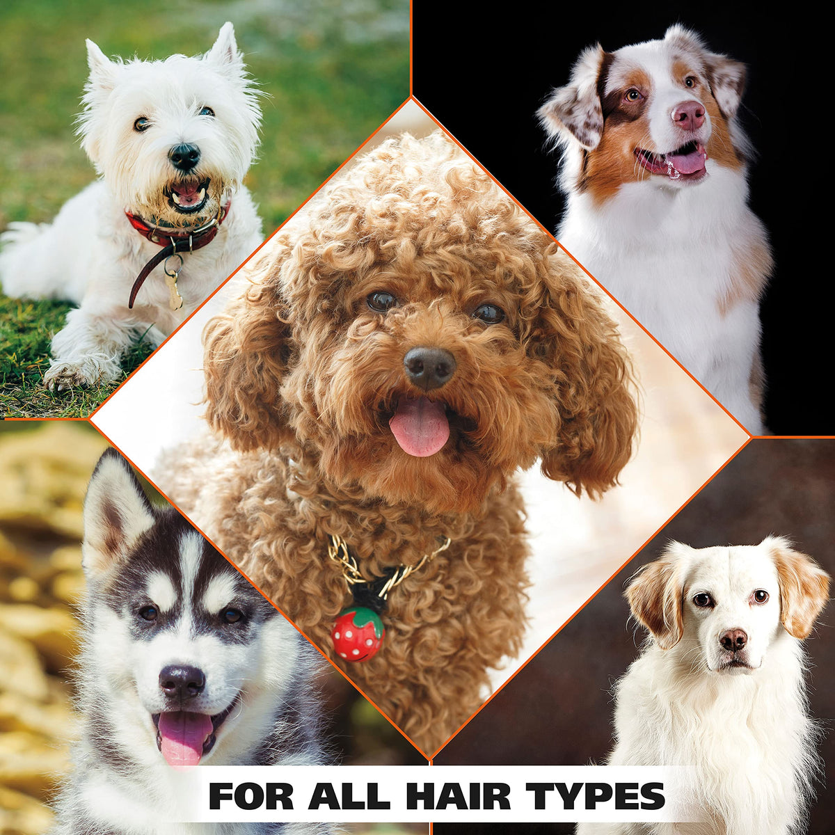 Wahl USA 4-in-1 Calming Pet Shampoo for Dogs with a Lavender Chamomile Scent – Cleans, Conditions, Detangles, & Moisturizes - Pet Friendly Formula – 64 Oz - Model 821000-050 🍁 All In One Marketplace Canada