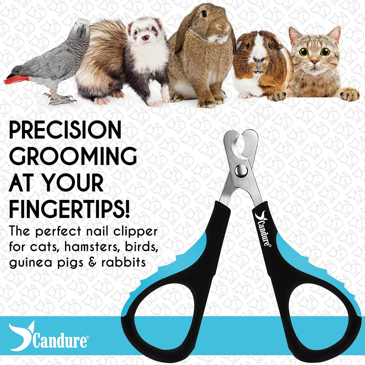 Candure Cat Nail Clippers for Indoor Cats, Rabbits, Hamsters, and Birds with Precise Angled Edges to Ensure Easy & Safe Trimming Stainless Steel Cat & Dog Nail Trimmer for At-Home Cat Grooming 🍁 All In One Marketplace Canada