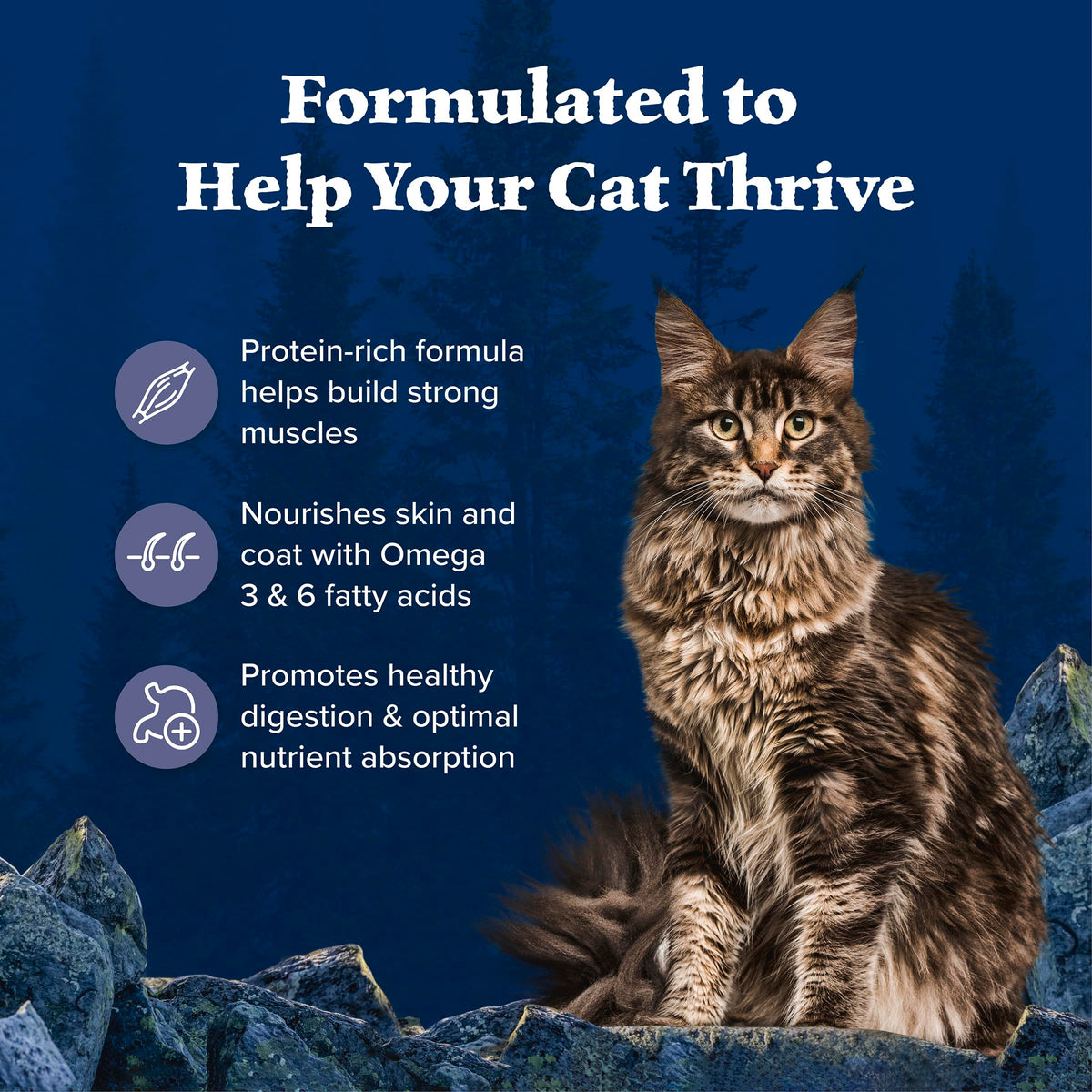Blue Buffalo Wilderness with Chicken Natural High-Protein Grain-Free Dry Food for Adult Cats, Real Chicken First, Antioxidant-Rich LifeSource Bits Support Immunity, Promotes Strong Muscles, 6 lbs. 🍁 All In One Marketplace Canada