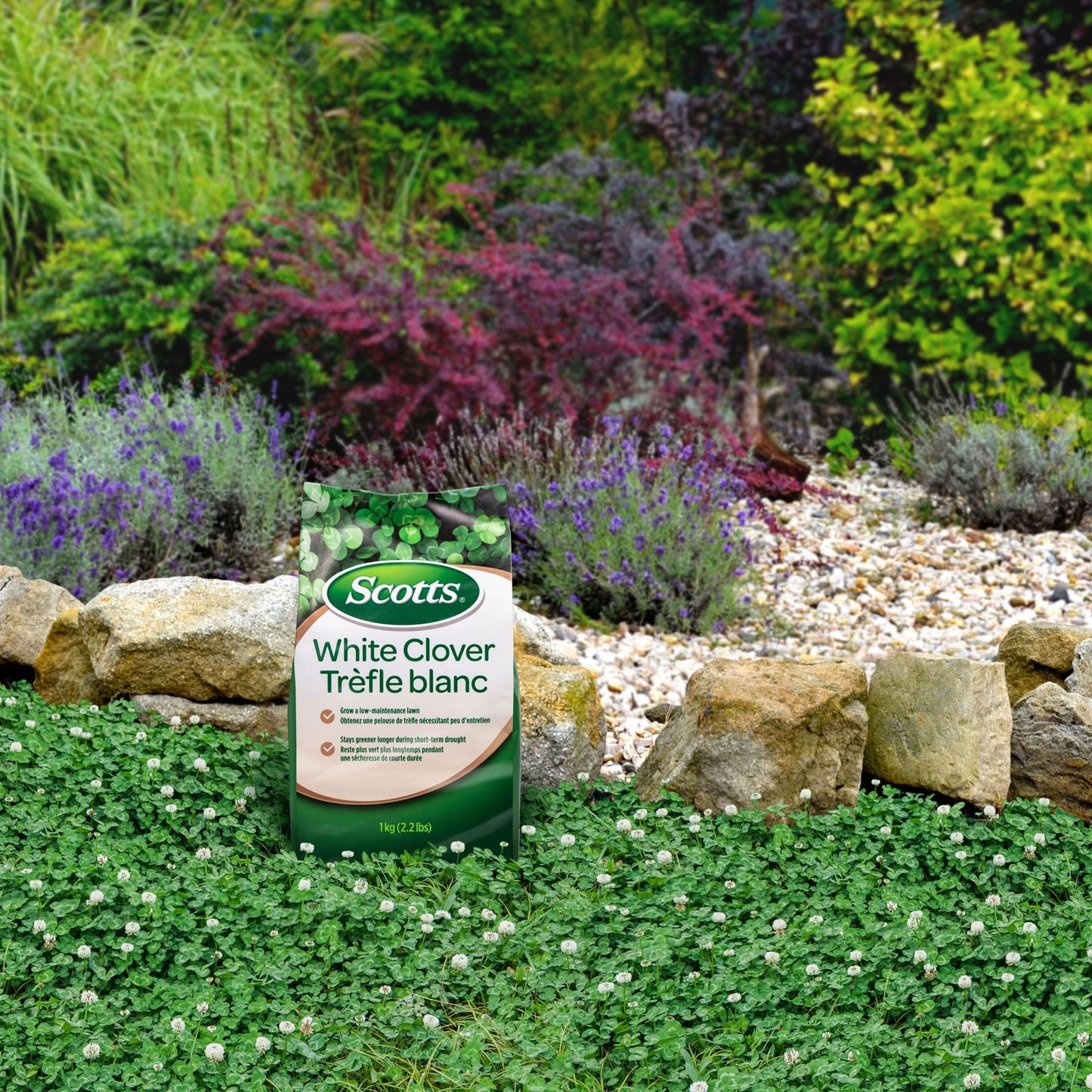Scotts White Clover Lawn Seed, 1kg (Covers 1,100 Sq. Ft.) – Low-Maintenance, Self-Fertilizing, Drought-Tolerant Grass Seed Alternative for Eco-Friendly Lawns 🍁 All In One Marketplace Canada