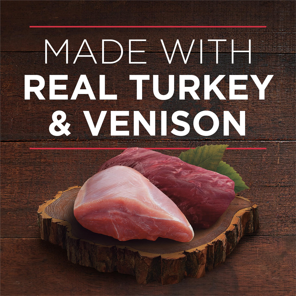 Purina ONE True Instinct Wet Dog Food, Ground Turkey & Venison (12 Pack) 🍁 All In One Marketplace Canada