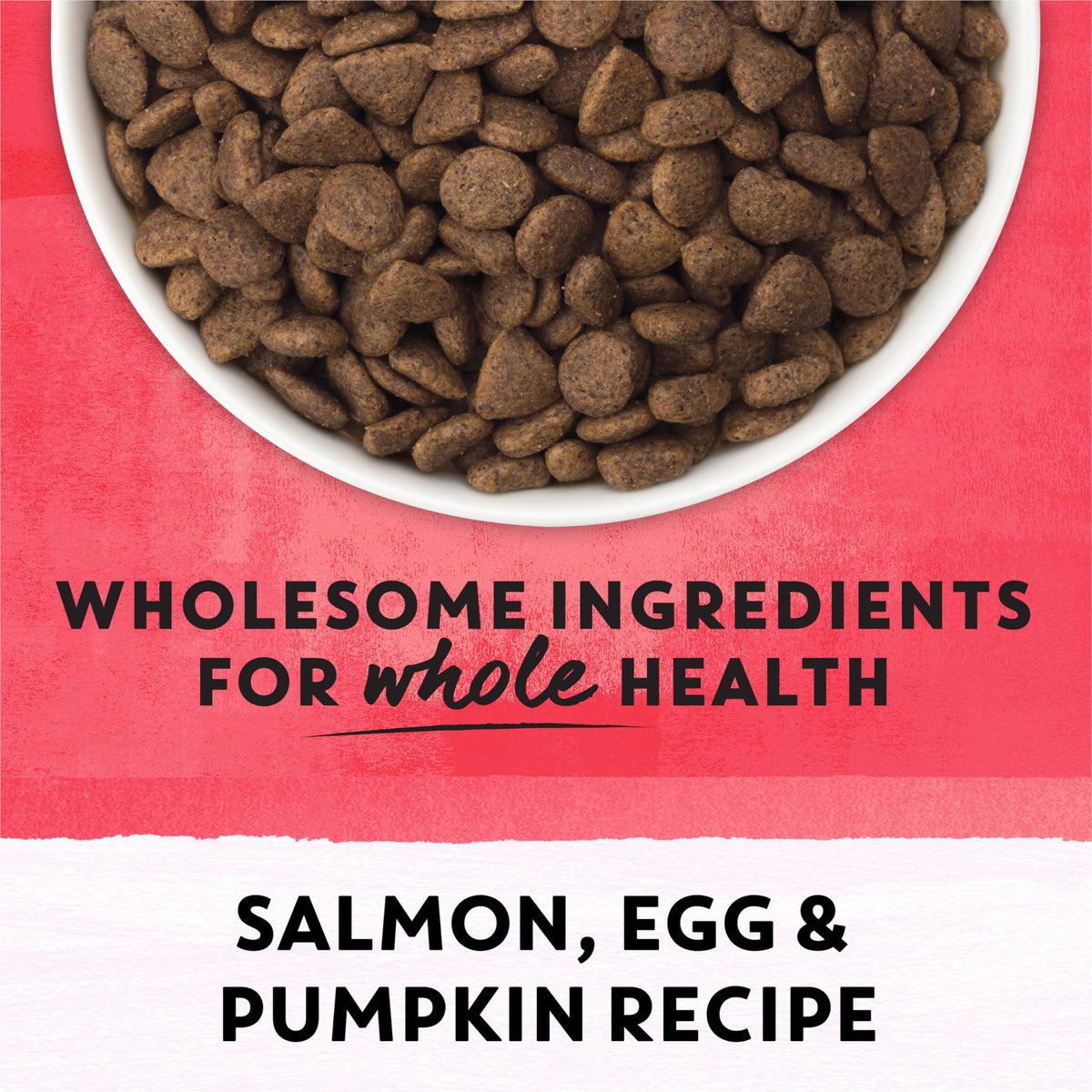 Beyond Superfood Blend Natural Dry Dog Food, Wild Caught Salmon, Egg & Pumpkin - 10.2 kg Bag 🍁 All In One Marketplace Canada