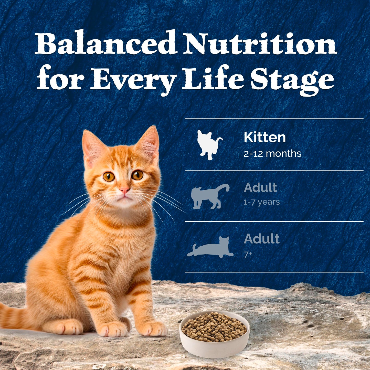 Blue Buffalo Wilderness with Chicken Natural High-Protein Grain-Free Dry Kitten Food, Real Chicken First, Antioxidant-Rich LifeSource Bits Support Immunity, DHA & ARA for Development, 2.2kg/5 lbs. 🍁 All In One Marketplace Canada