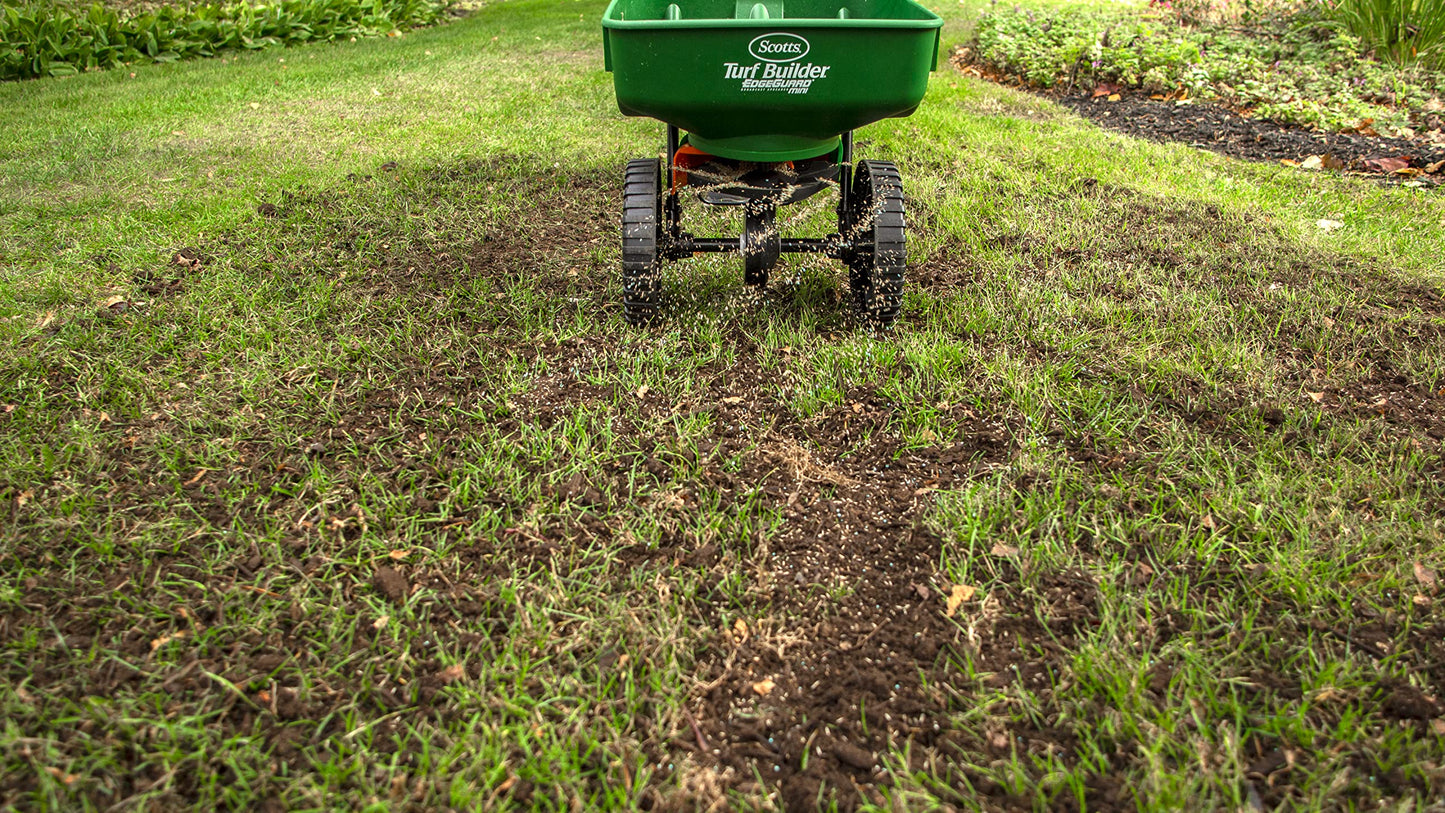 Scotts Turf Builder Quick + Thick Grass Seed (Dense Shade) 1.2kg (12675) 🍁 All In One Marketplace Canada