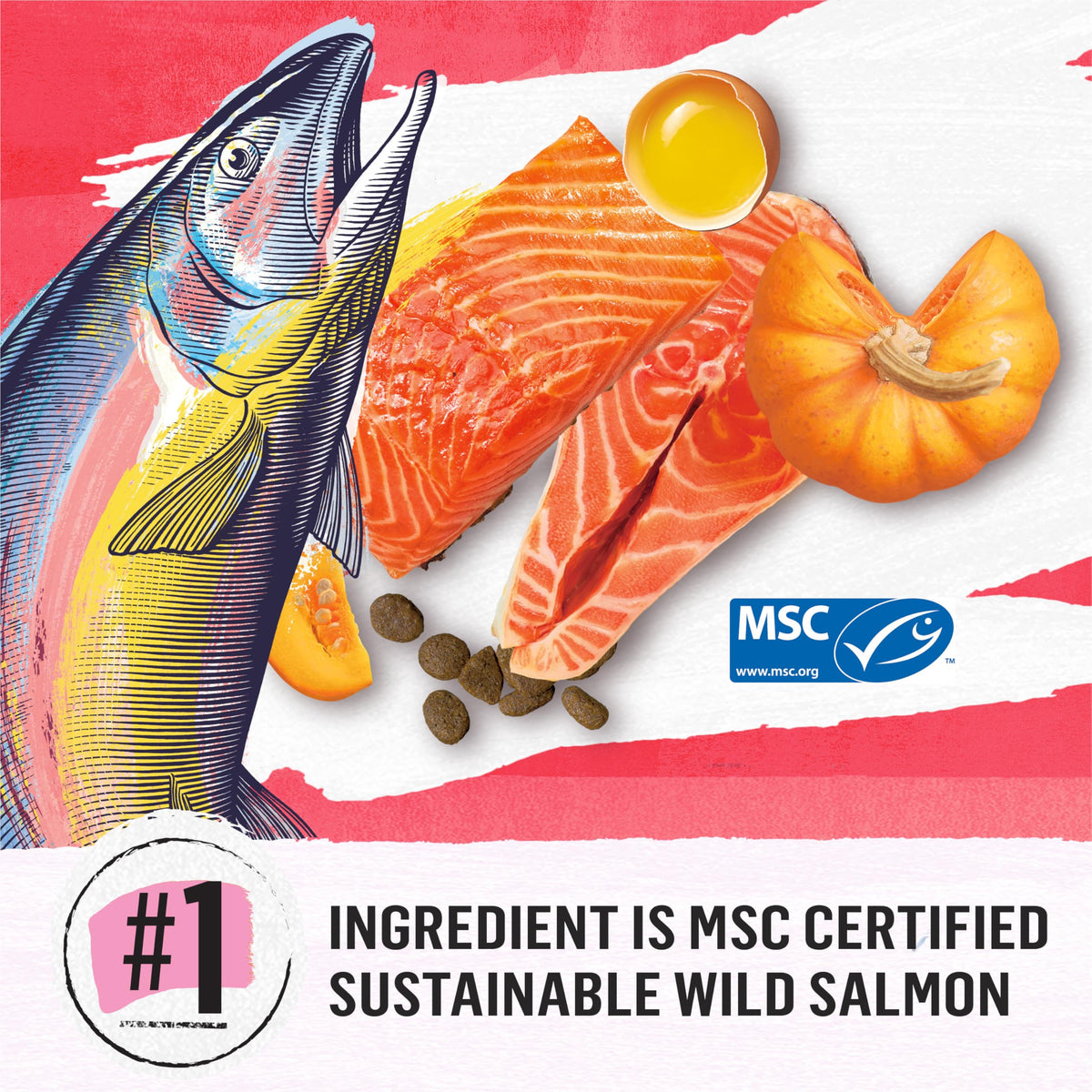 Beyond Superfood Blend Natural Dry Dog Food, Wild Caught Salmon, Egg & Pumpkin - 10.2 kg Bag 🍁 All In One Marketplace Canada