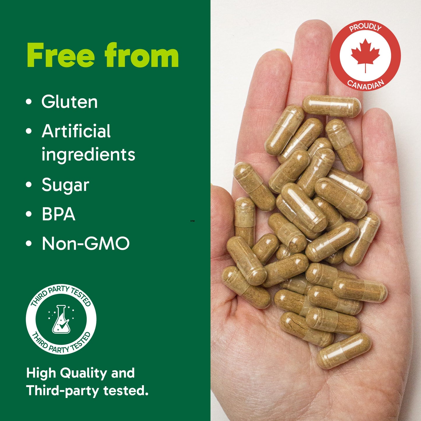 Organika Canadian-Made Maca 4:1 Strength 180 Vcaps - 3000mg | High Bioavialability Formula, Adaptogen to Help with Stress, Energy and Hormone Balance 🍁 All In One Marketplace Canada