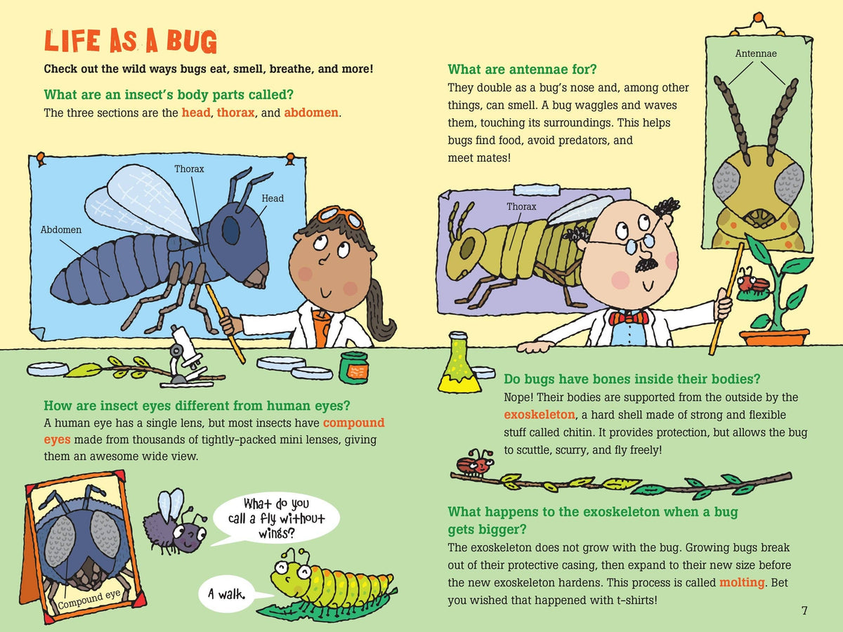 Peter Pauper Press - 100 Questions about Bugs - Ages 7+