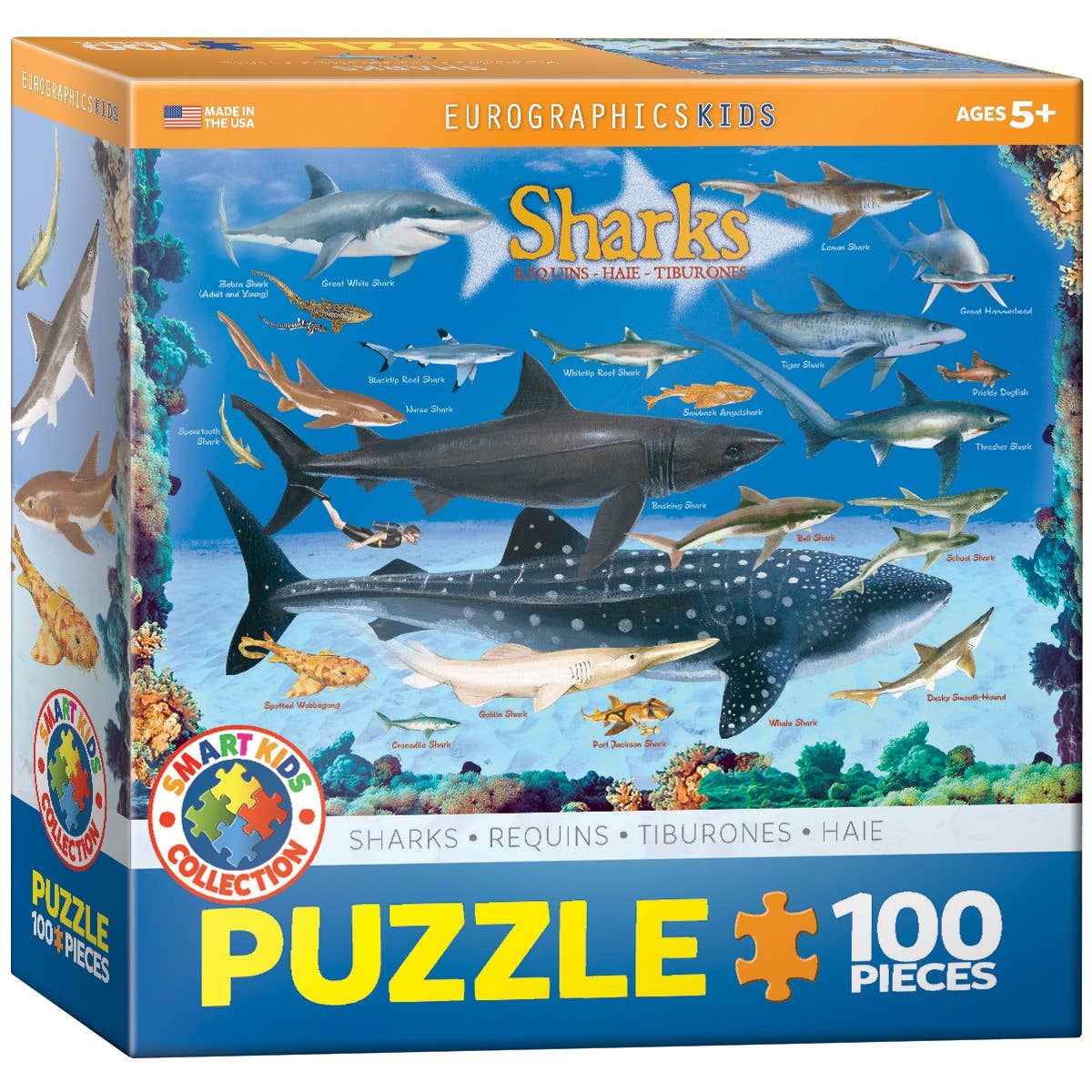 Eurographics Sharks 100-Piece Puzzle - Ocean Life - Ages 5+