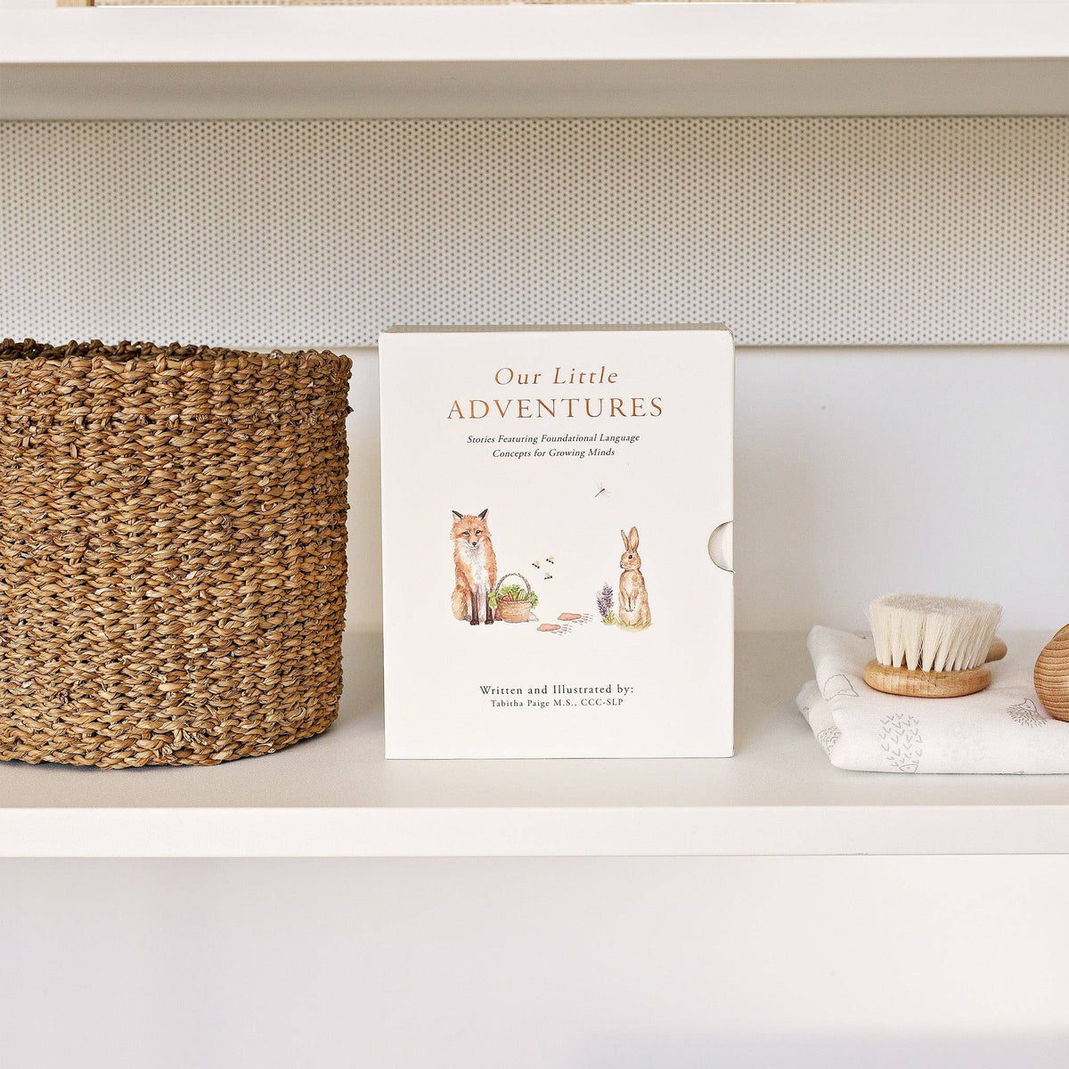 Paige Tate & Co. - Our Little Adventures Box Set (3 Board Books) - Ages 1+