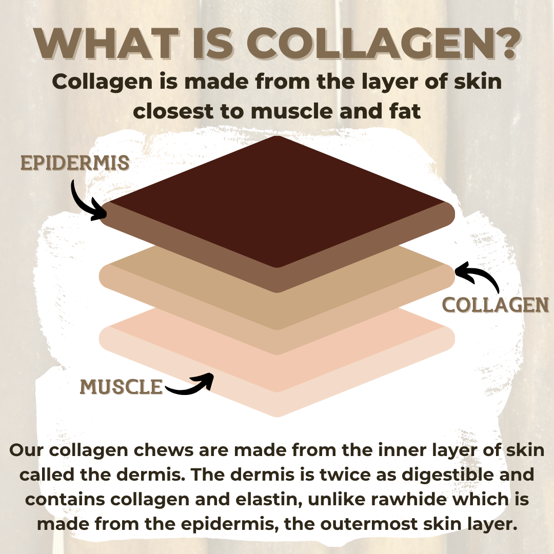 10-12 Inch Collagen Stick