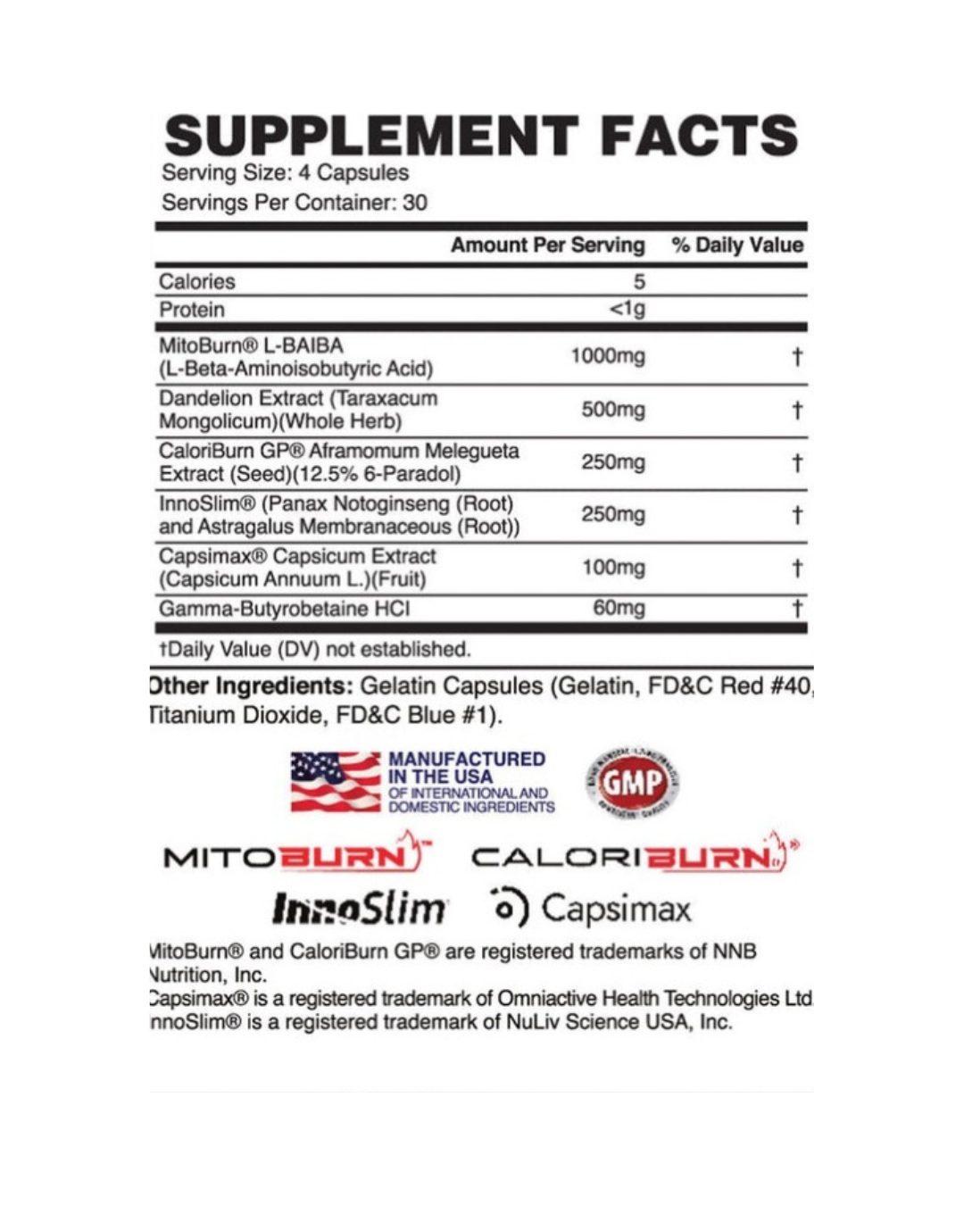 Apollon Molotov Thermo Supplement