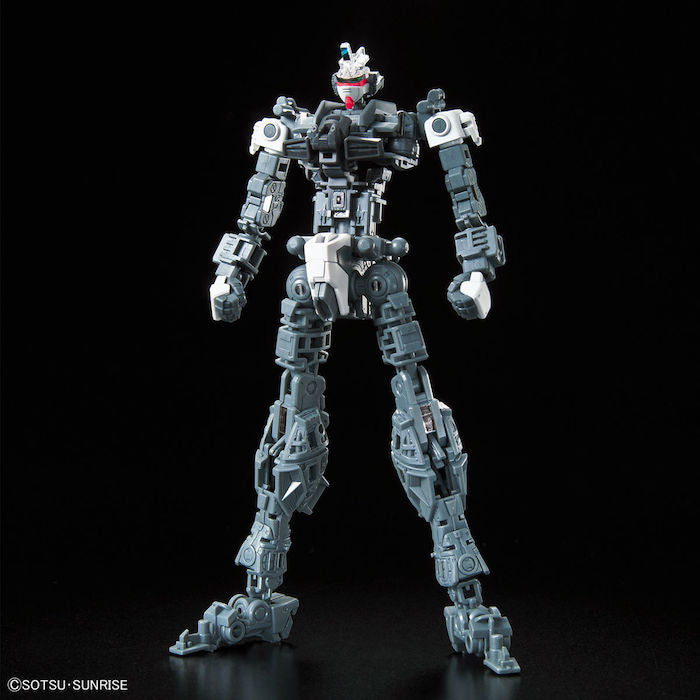 RG 1/144 FORCE IMPULSE GUNDAM