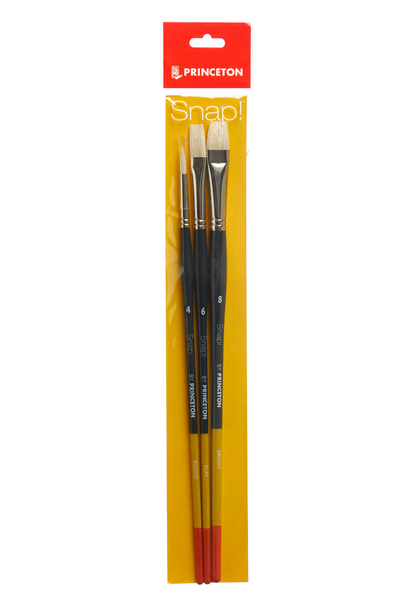 Princeton - Snap! Natural Bristle - Long Handle - Set of 3