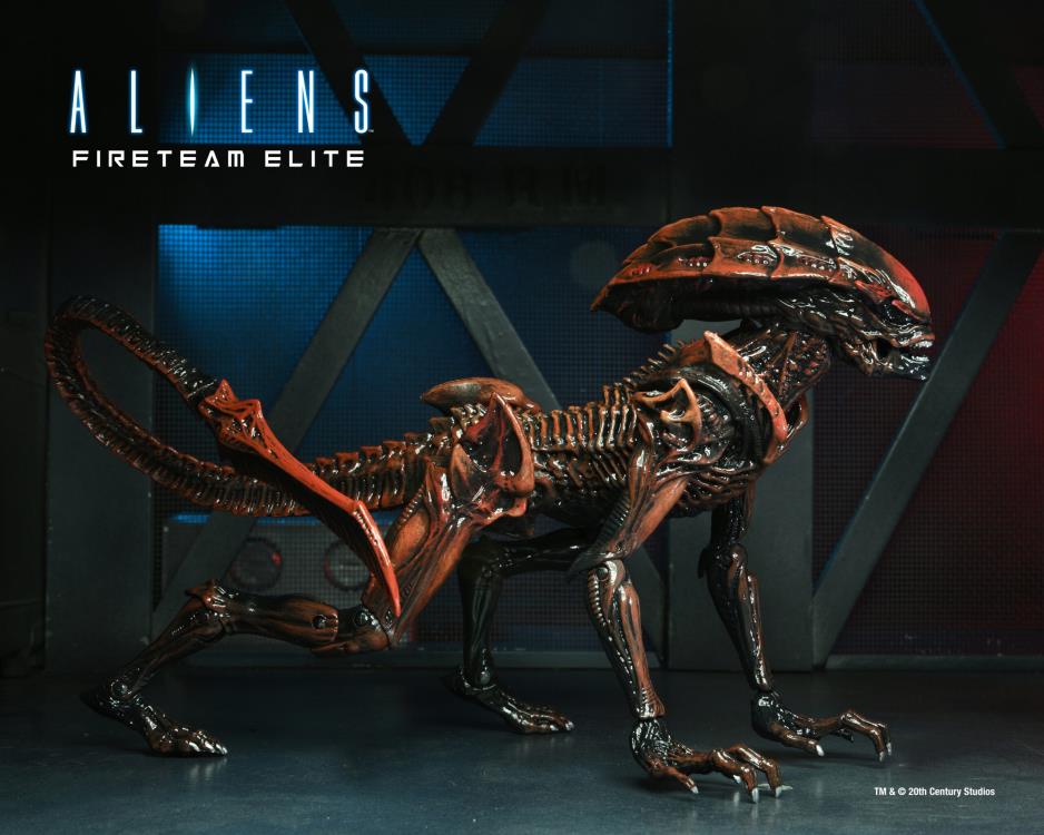 Aliens: Fireteam Elite Prowler Alien Action Figure
