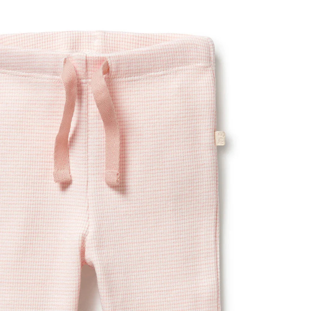 Organic Stripe Rib Legging | Cantaloupe | Wilson + Frenchy