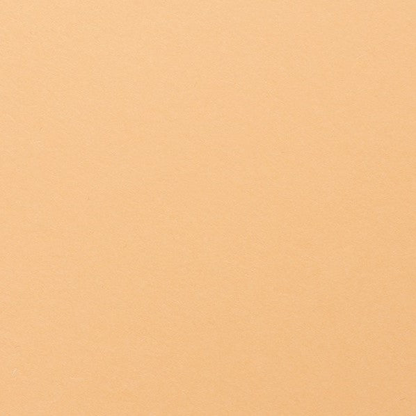 Clairefontaine - Maya Cardstock 120lb Paper - 8¼x11¾"