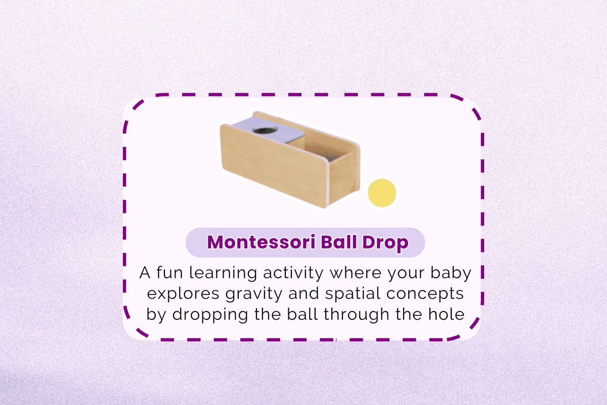 123 Baby Box Montessori Educational Box - Ages 11–12 Months