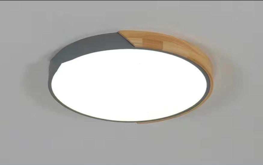 Creative Light Modern Minimalist Ceiling Lamp