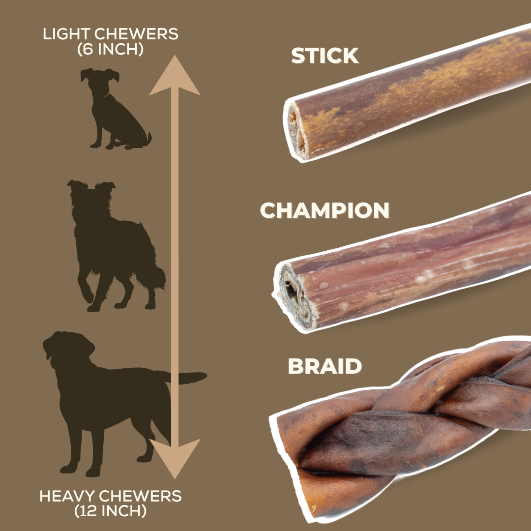 5-6 Inch Collagen Stick