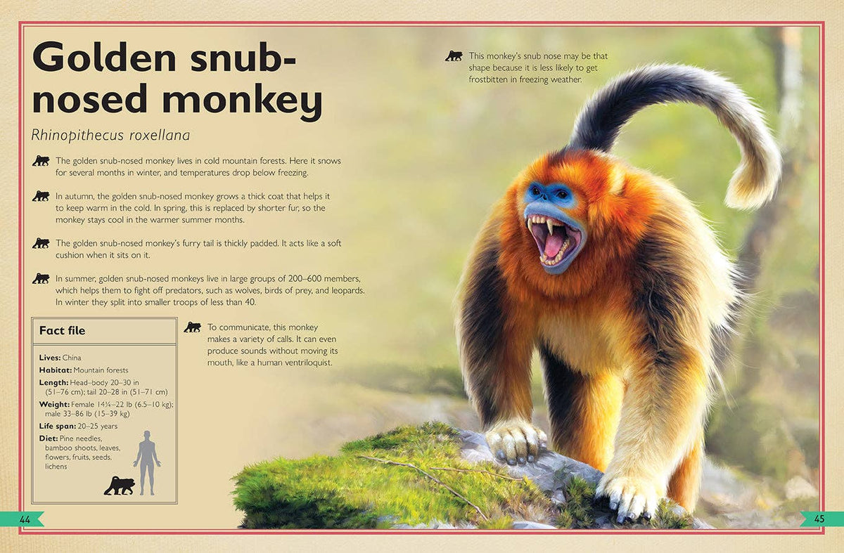 Insight Editions - The Magnificent Book of Monkeys and Apes - Ages 6+