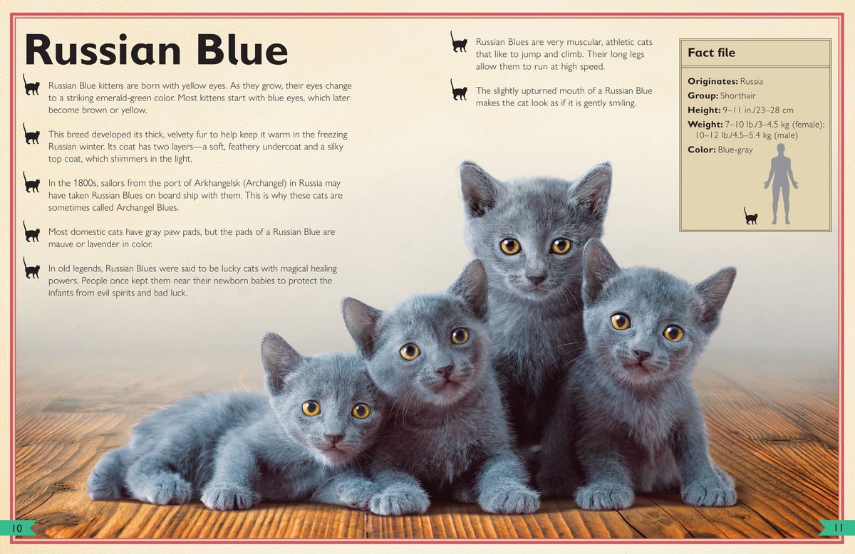 Insight Editions - The Magnificent Book of Cats - Ages 6+