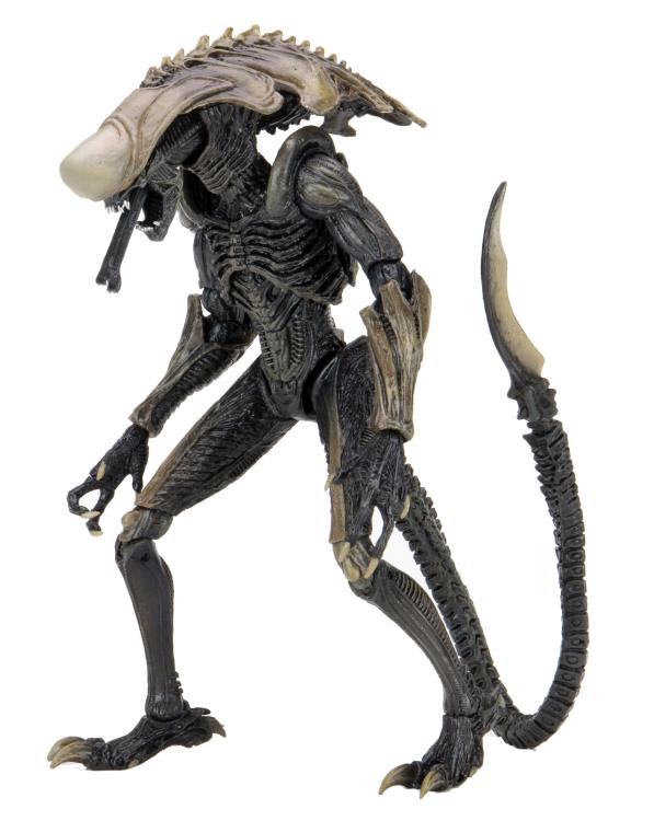 Alien vs. Predator Aliens Set of 3 Figures Movie Deco