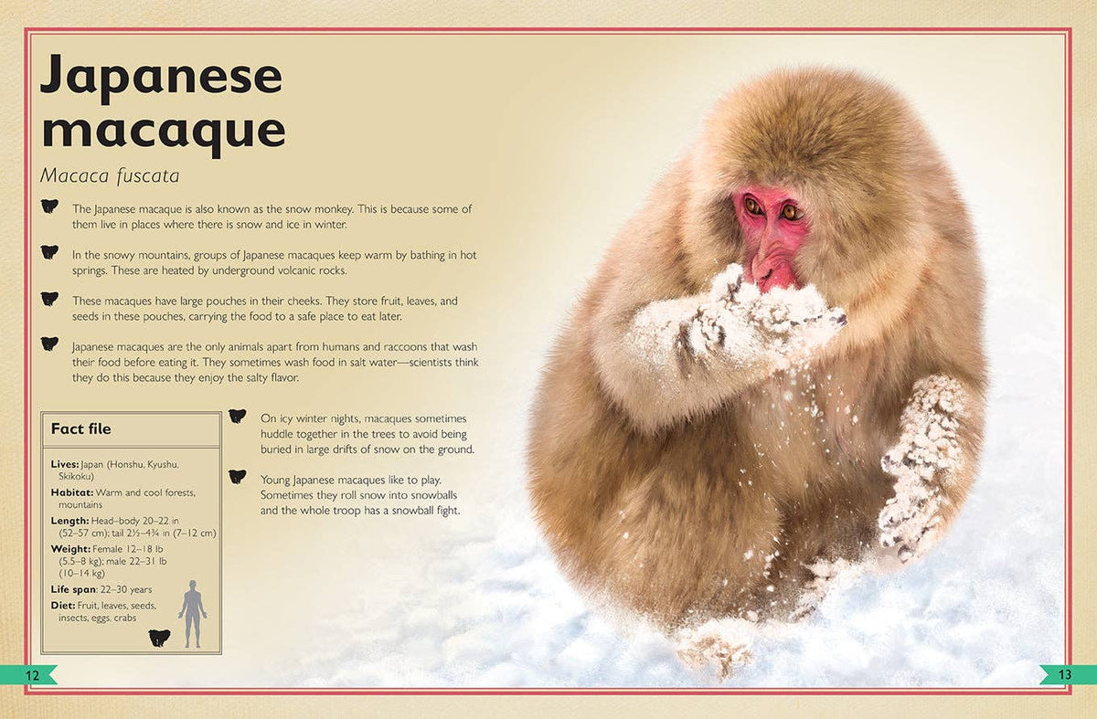 Insight Editions - The Magnificent Book of Monkeys and Apes - Ages 6+