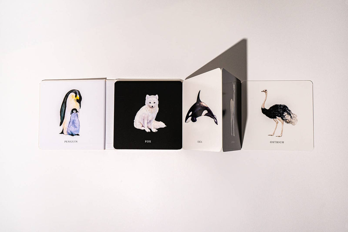 Paige Tate & Co. - Black and White Contrast Book - Ages 0–12 Months
