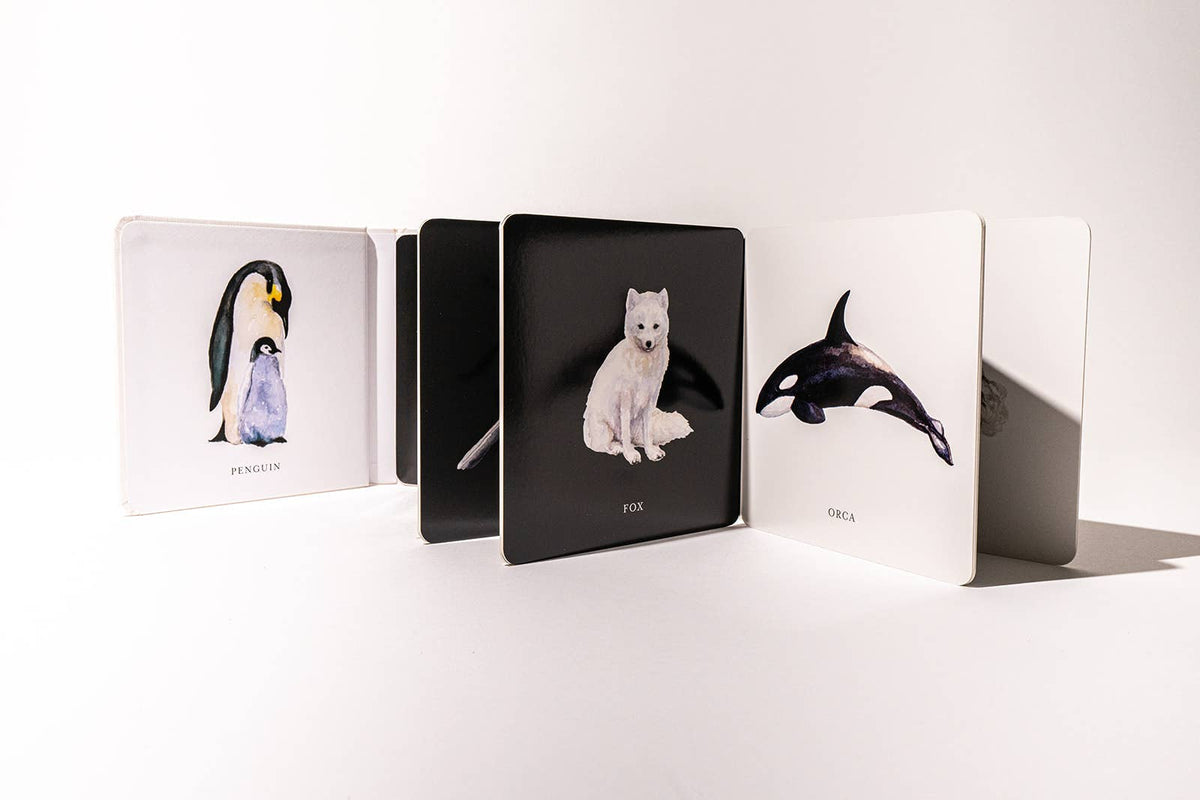 Paige Tate & Co. - Black and White Contrast Book - Ages 0–12 Months