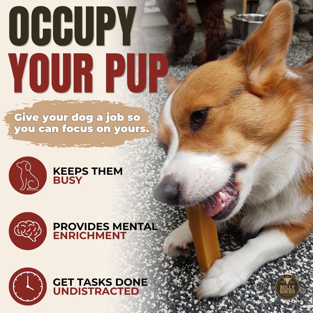 Himalayan Yak Chew (MEDIUM)